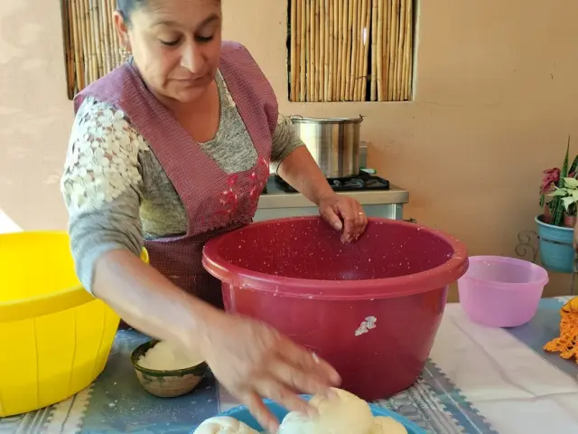 ELABORACION DEL QUESILLO